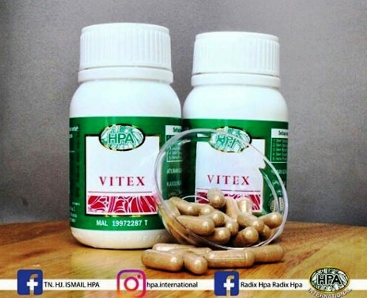 Jurnal Asam Urat Resep Hni Website